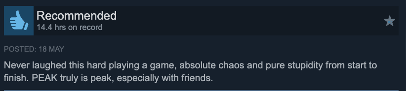 Example positive Steam review praising chaotic co-op fun